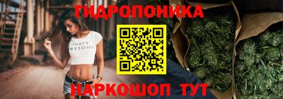 СК Мариинск