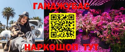 крисы Малоярославец